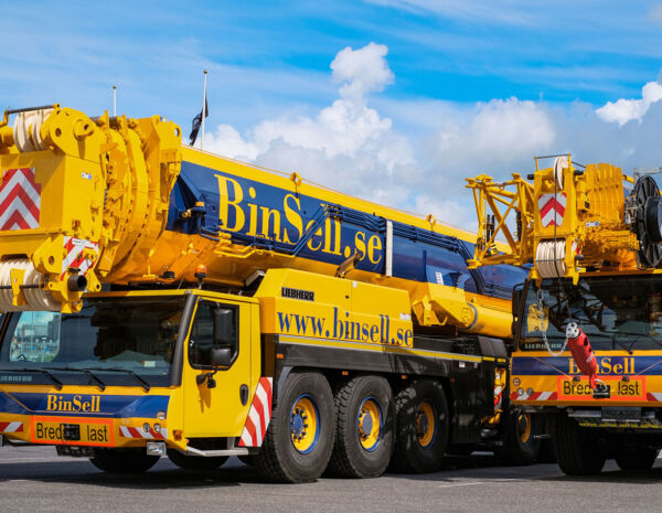 img-binsell-cropped-1